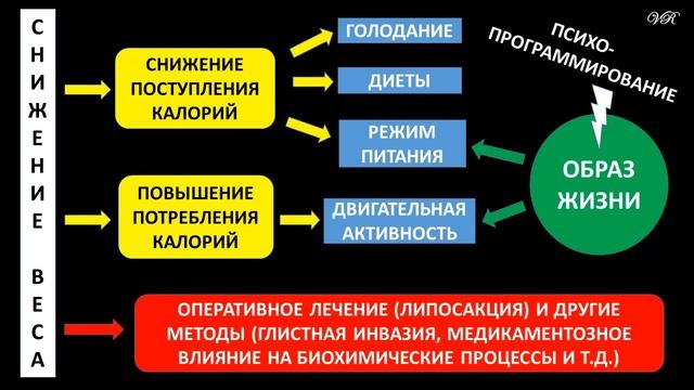 Психология похудания. Часть II