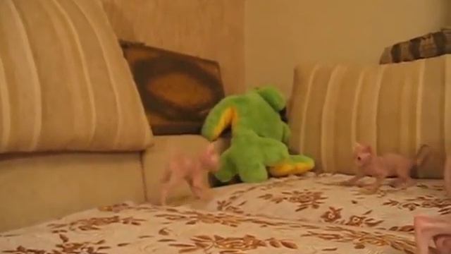 Игры на диване1 смотреть онлайн