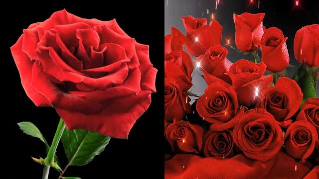 Танец роз! смотреть онлайн