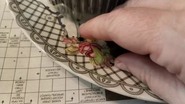 Махровая петуния. Пикировка.