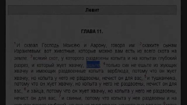 Христианство - еврейская секта. (Толстой Л.Н.).mp4 смотреть онлайн