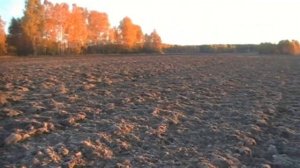 10 копеек 1921 года.