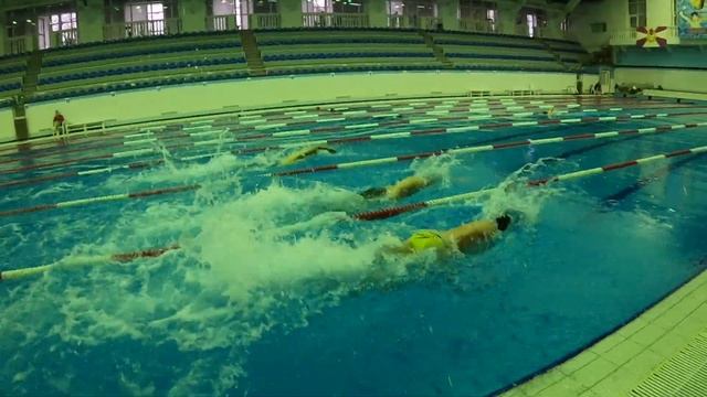 Бассейн ЦСКА, Олимп Дайв 14 марта 2021, Рудаков Роман 1981, Вольный стиль, 50 метров, 33.51. смотреть онлайн