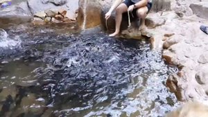 Рыбалка в Тайланде руками