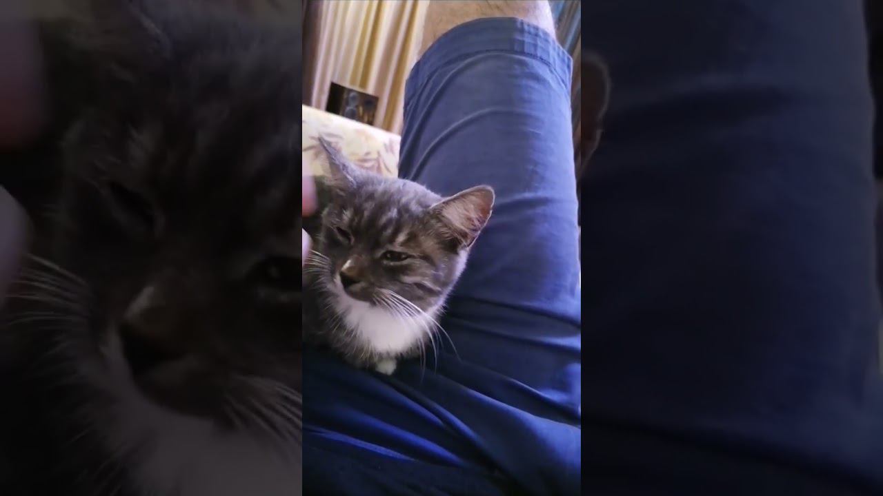 #чихмуррыг смотреть онлайн