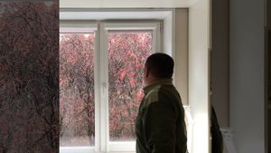 Кассетные рулонные жалюзи