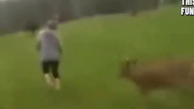 Очень смешные люди.