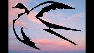 Полетела бы словно крылатая птица