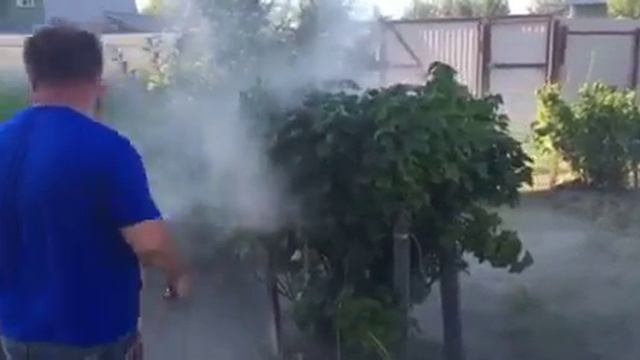 Обработка ЭКОКИЛЛЕРОМ опудривание сада от тли смотреть онлайн