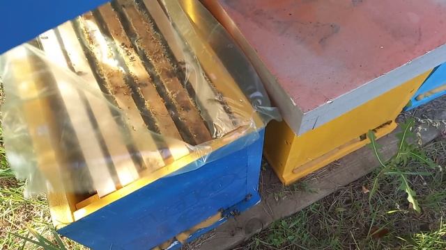 Отводки 2021 года по состоянию на 14 июля смотреть онлайн