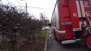ГРАНИЦА СОВЕСТИ - НАЛЕТЕЛ СЗАДИ, ПОЛУЧИЛ ПЕРЦЕМ?