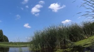 Рыбалка на Линя и лучшая насадка на карася в жару. Ловля карася на поплавок.