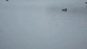 Рыбалка на Школьном озере в октябре