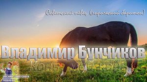 Владимир Бунчиков - Конь, мой конь