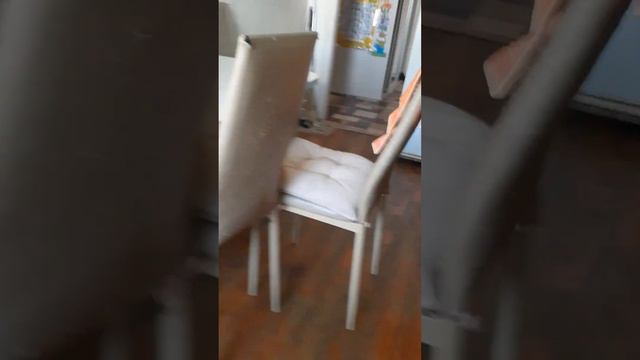 меня Можно иногда не слушать если кот бежит то значит он играется хочет смотреть онлайн