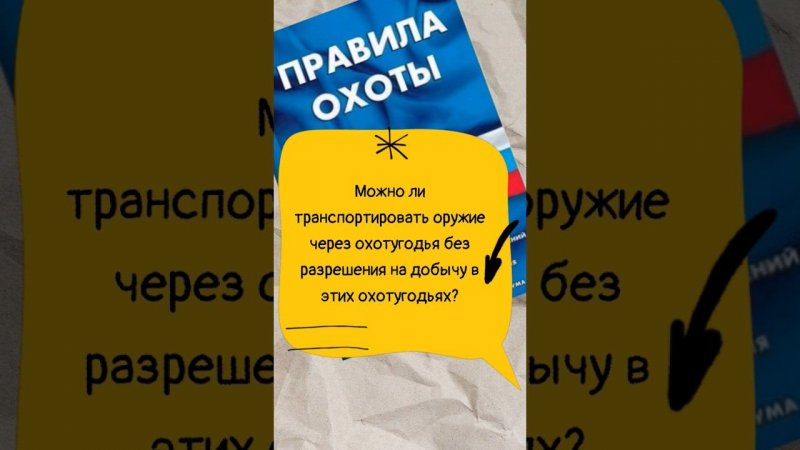 Можно ли транспортировать оружие через охотугодья без разрешения? #мужскаякаморка #shorts