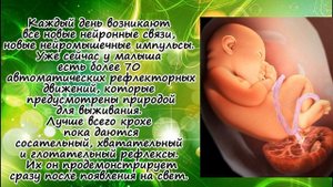 Развитие плода на 38 неделе беременности/Календарь беременности!