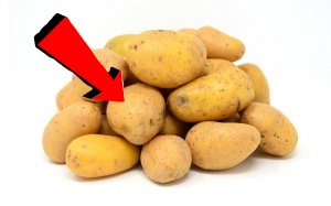 Как быстро избавиться за 03 минуты от колорадского жука на картошке!!!.