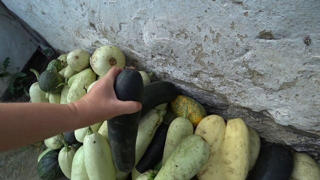 Избавилась от кабачков ЕЩЕ И ЗАРАБОТАЛА! ДУШ ПРИЕХАЛ! Сало в духовке смотреть онлайн