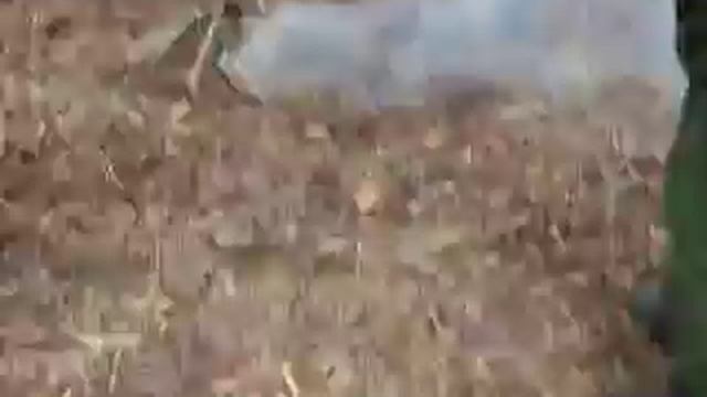 Как разжигать костёр, с помощью ракетницы. смотреть онлайн