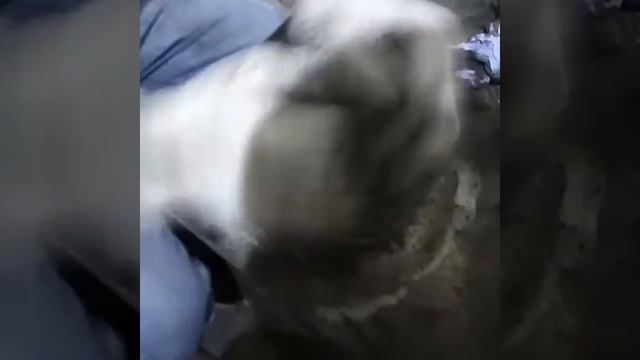 Притирка распределительной шайбы аксиально поршневого гидронасоса смотреть онлайн