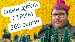 Стрим. Один дубль. 260 серия. Старокатолический митрополит ✠ Павел Бегичев отвечает на ваши вопросы