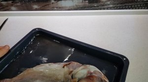 Толстолобик вяленый в домашних условиях. Больше не покупаю ВЯЛЕНУЮ РЫБУ в магазине! Готовлю сам!