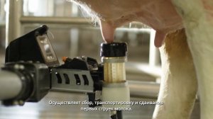 Роботизированное доение с DeLaval VMS™