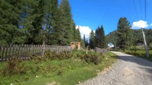 #Алтай Телецкое озеро / Поселок Иогач  / Алтай