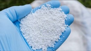 КОЛЬРАБИ БЕЛЫЙ ГИГАНТ - ПОЗДНЕСПЕЛЫЙ КРУПНЫЙ С ДЛИТЕЛЬНЫМ ХРАНЕНИЕМ СОРТ