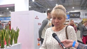 Чёрный терьер: всё о породе за 1,5 минуты