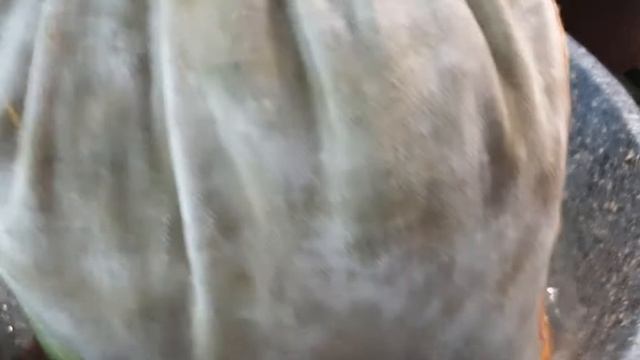 Еврейский зеленый плов Бахш.
