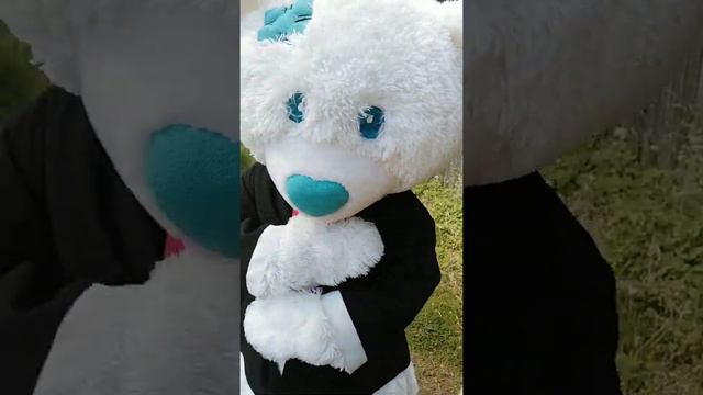 Утреннее поздравление смотреть онлайн