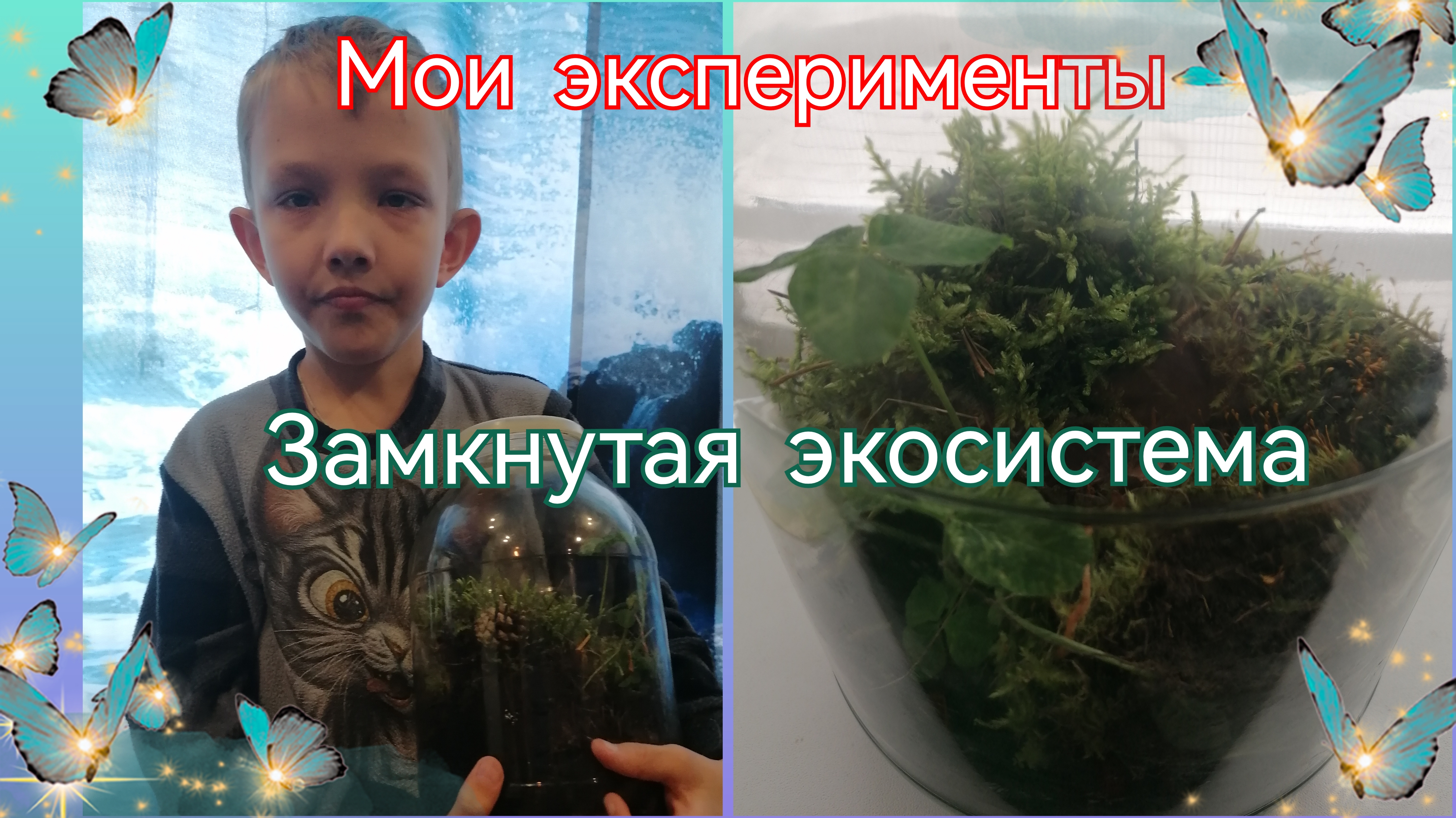 Моя экосистема. Часть 1.