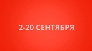 Cashback 20% за кэш в Sulpak!