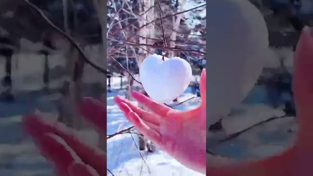 снежколеп сердце, ссылка в описании