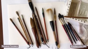 Прямой эфир: каллиграфические кисти в акварели
