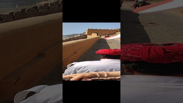 VID_20230301_110222.mp4