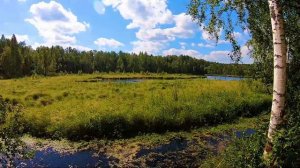 Торфяное озеро