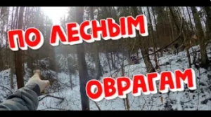 По лесный оврагам с металлоискателем XP ORX