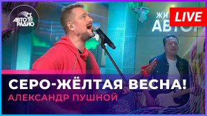 Александр Пушной - Серо-жёлтая Весна! (LIVE @ Авторадио)