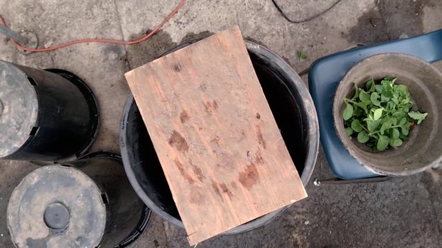 Trimming Hanging Baskets смотреть онлайн