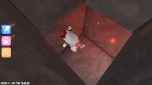 Кошка любит Пиццу