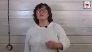 Мифы о хвойных растениях