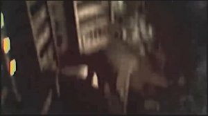 station922.mkv (оригинал без аудио)