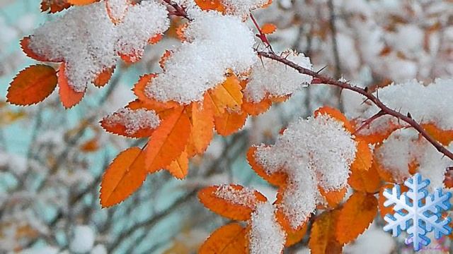 "За летом осень, а за осенью зима" Л.Горцуева смотреть онлайн