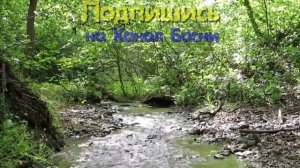 Басни Ивана Крылова Две Собаки