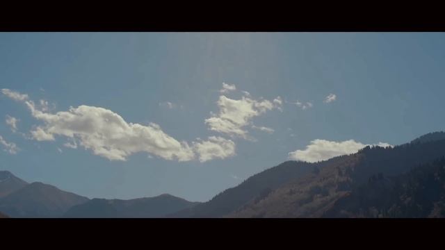 VIVAT BASOV смотреть онлайн