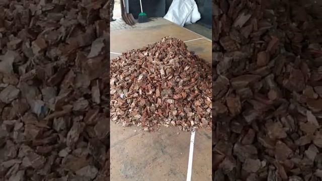 Мульча - кора сосны / лиственницы. смотреть онлайн